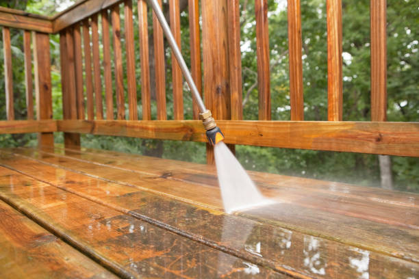 Best House Pressure Washing  in La Luz, NM